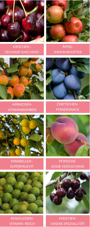 KIRSCHEN -  GESUNDE NASCHEREI ÄPFEL- IMMUN BOOSTER APRIKOSEN- VITAMINBOMBEN ZWETSCHEN- POWERSNACK RENEKLODEN- VITAMIN -REICH KIRSCHEN- UNSERE SPEZIALLITÄT MIRABELLEN -SUPERFRUCHT  PFIRSICHE- SÜSSE VERSUCHUNG 